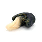 Fae Dragon Small 00-30 Soft Dark Shadows GITD CS