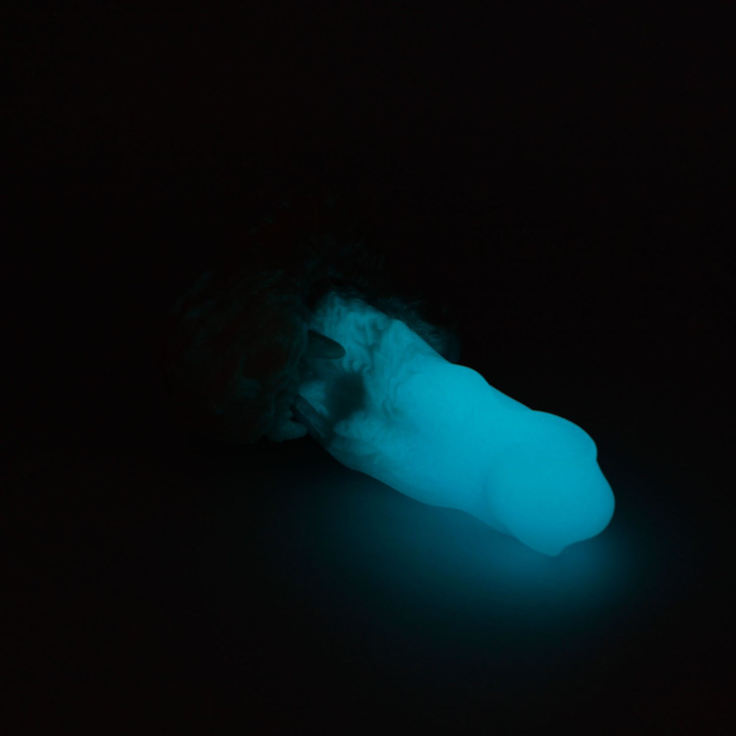 Rakshasa X-Small 00-30 Soft Seaside GITD