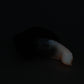 Fae Dragon Medium 00-30 Soft Dark Shadows GITD CS