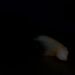 Fae Dragon Large 00-30 Soft Dark Shadows GITD CS