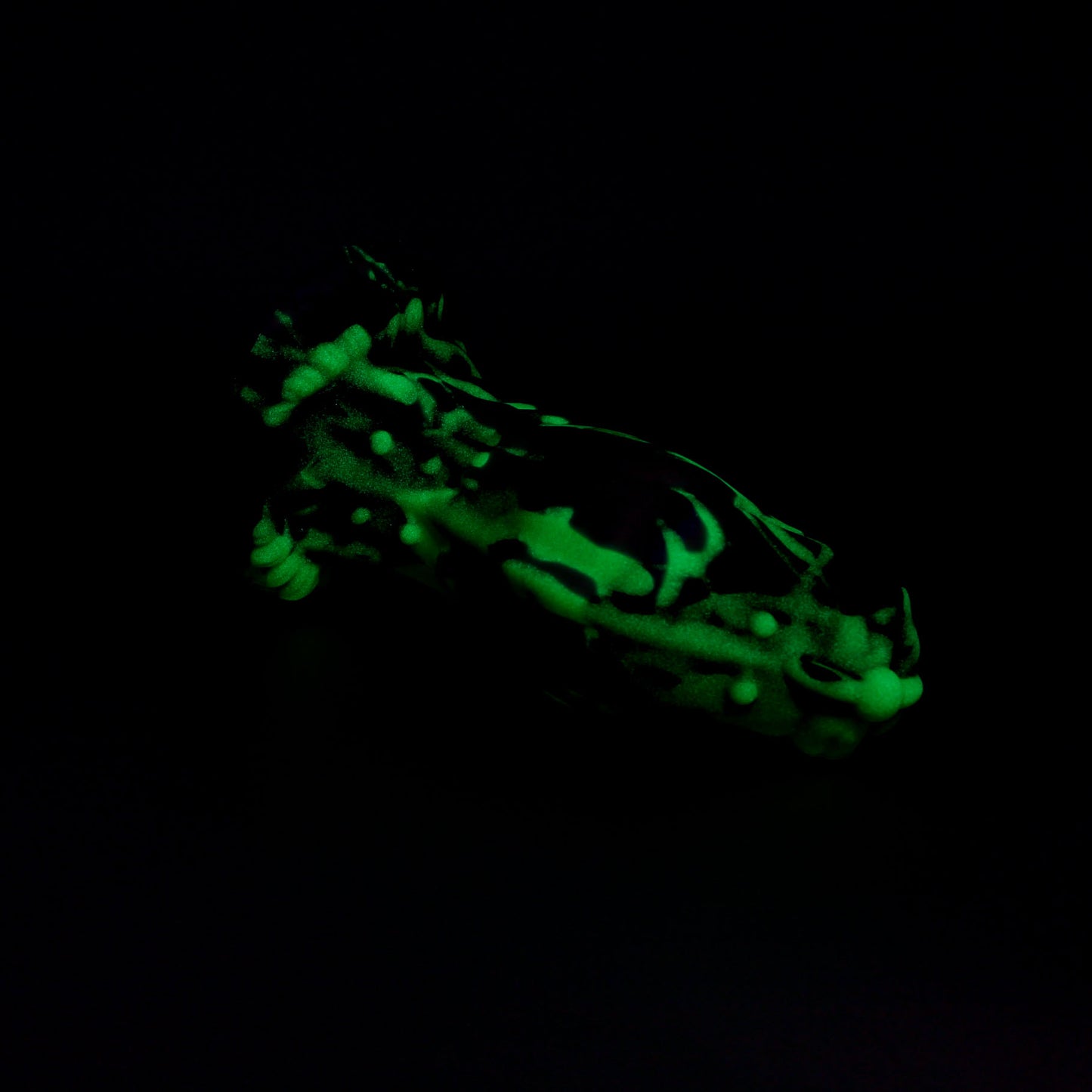 Firbolg Medium 00-30 Soft Evolved Sandworm UV GITD Suction Base