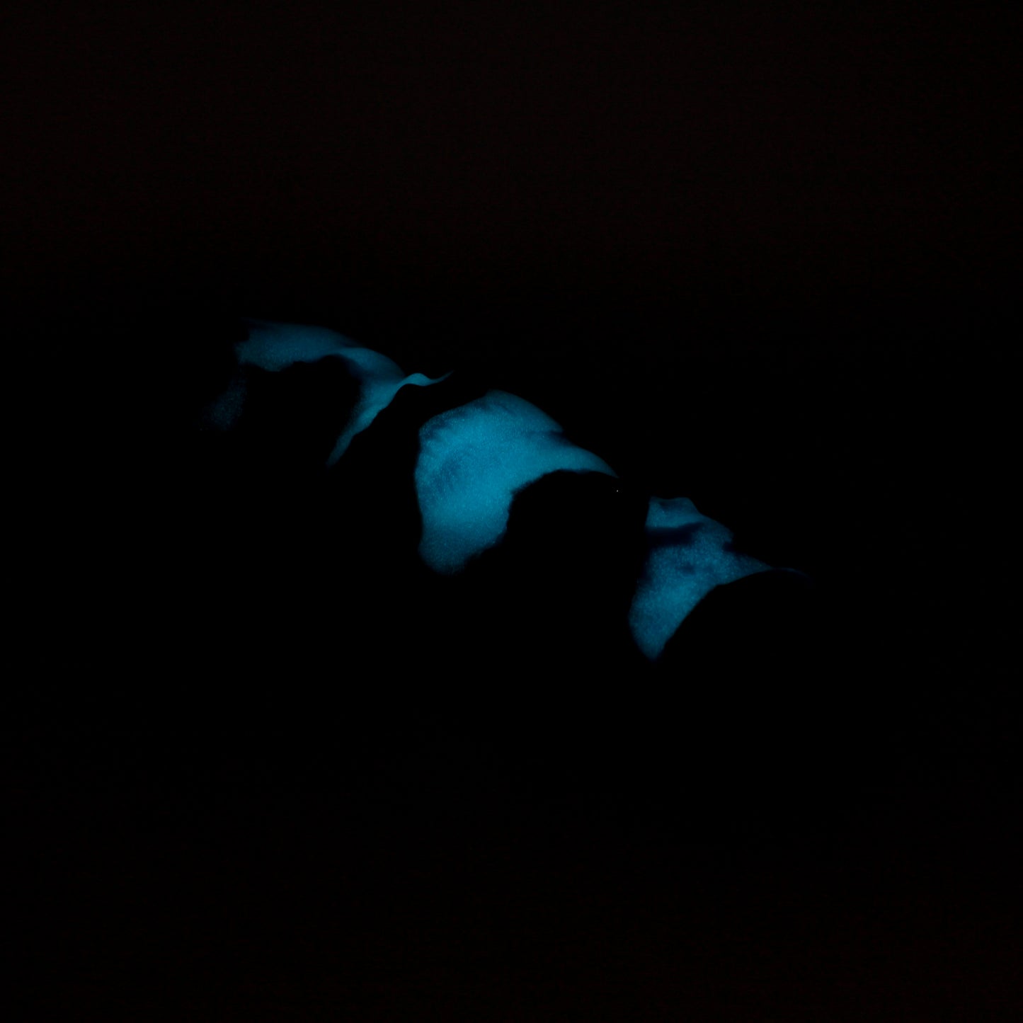 Tabaxi Medium 00-30 Soft Magic Garden GITD CS