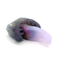 Fae Dragon Small 00-31 Soft Near Clear Meteor CS