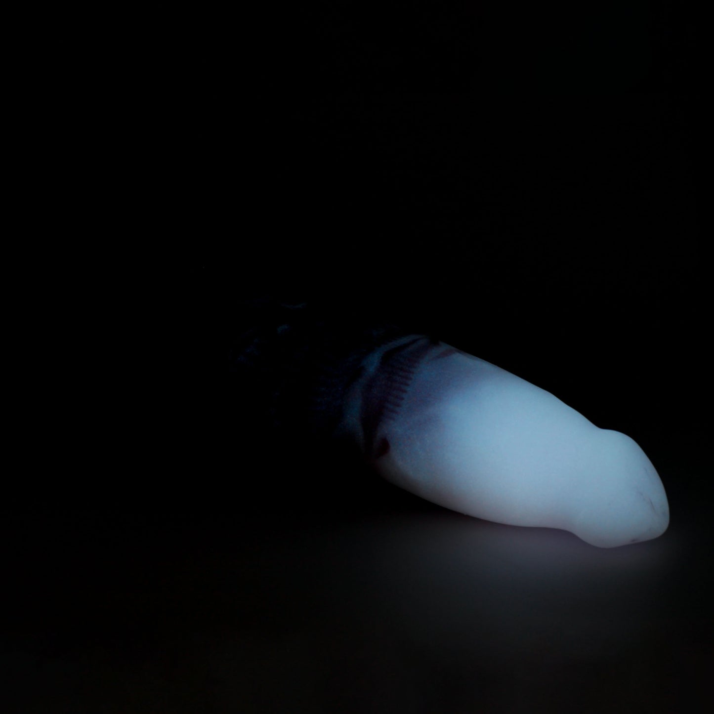 Direwolf XX-Large 00-30 Soft Mystic Potion GITD Suction Base