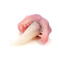 Yuanti Small 00-31 Soft Near Clear Enter the Pumpkin CS