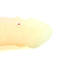 Gilbert X-Large 00-31 Soft Near Clear Golden Seaglass UV FLOP