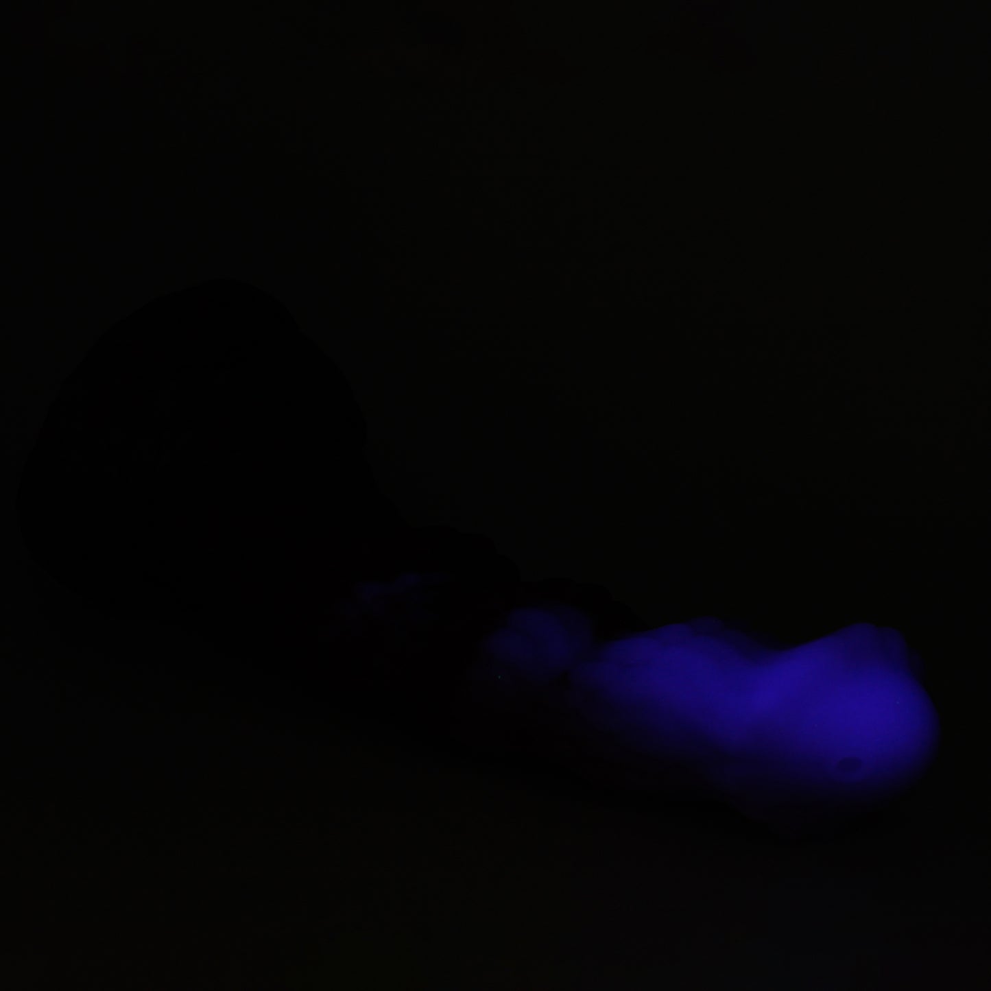 Kelpie X-Large 00-30 Soft Aster GITD Suction Base
