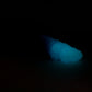 Grick Large 00-31 Soft Near Clear Beachside GITD Color Shift