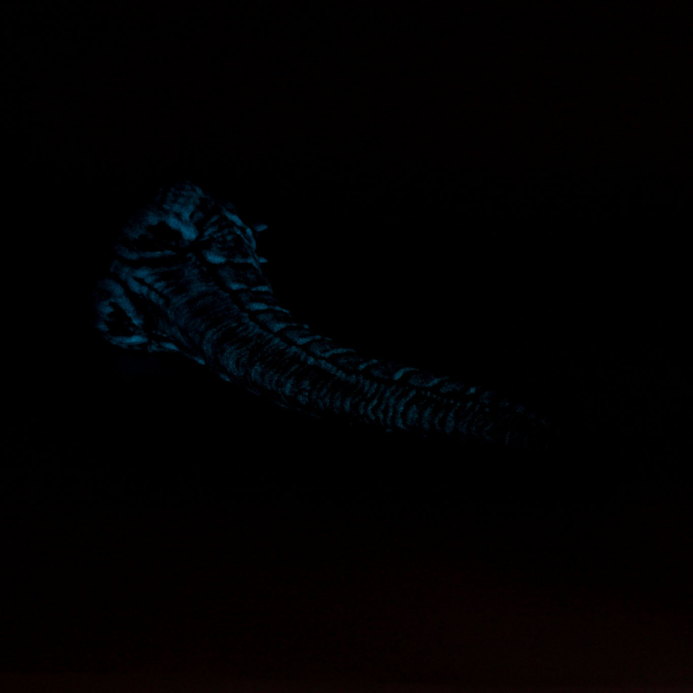Dragon's Tail Small 00-30 Soft Blue Glow Highlight GITD